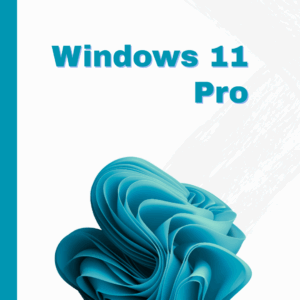Windows 11 Pro OEM